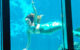 A Weeki Wachee Mermaid swims. (Photo by Steven Martin via Flickr/Creative Commons https://flic.kr/p/JLcbeP)