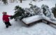 Almost six year old starts to clear snow from the tree