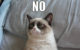 Grumpy Cat says NO