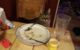 Rocky the grey tabby cat looks miffed standing on a chair next to the dinner table, and looking at a plate without any food on it