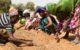 Women in colorful clothes plant seeds in light brown dirt. (Photo via GreatGreenWall.org)