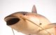 Charlie the robot fish (Photo via CIA.gov https://www.cia.gov/legacy/museum/artifact/robot-fish-charlie/)