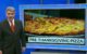 News anchor in front of an image of a pizza with the caption "Pre-Thanksgiving Pizza"