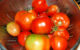 Tomatoes in a colander.