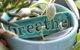 A ceramic sign reading "breathe" in the middle of a plant pot. (Photo by Mae Chevrette via Flickr/Creative Commons https://flic.kr/p/bnXATM)