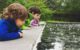 The Carlson Kids look at water at Olbrich Gardens in Madison.