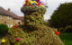 Close-up of the Burryman in his suit of burrs. (Photo by angus mcdiarmid via Flickr/Creative Commons https://flic.kr/p/cP8gQC)