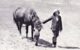 Lennie Gwyther (right) and Ginger Mick at the start of their trip to Sydney. (Photo by Sam Hood, Sydney Morning Herald, via Wikicommons https://en.wikipedia.org/wiki/File:Lennie_alongside_Ginger_Mick.jpg)